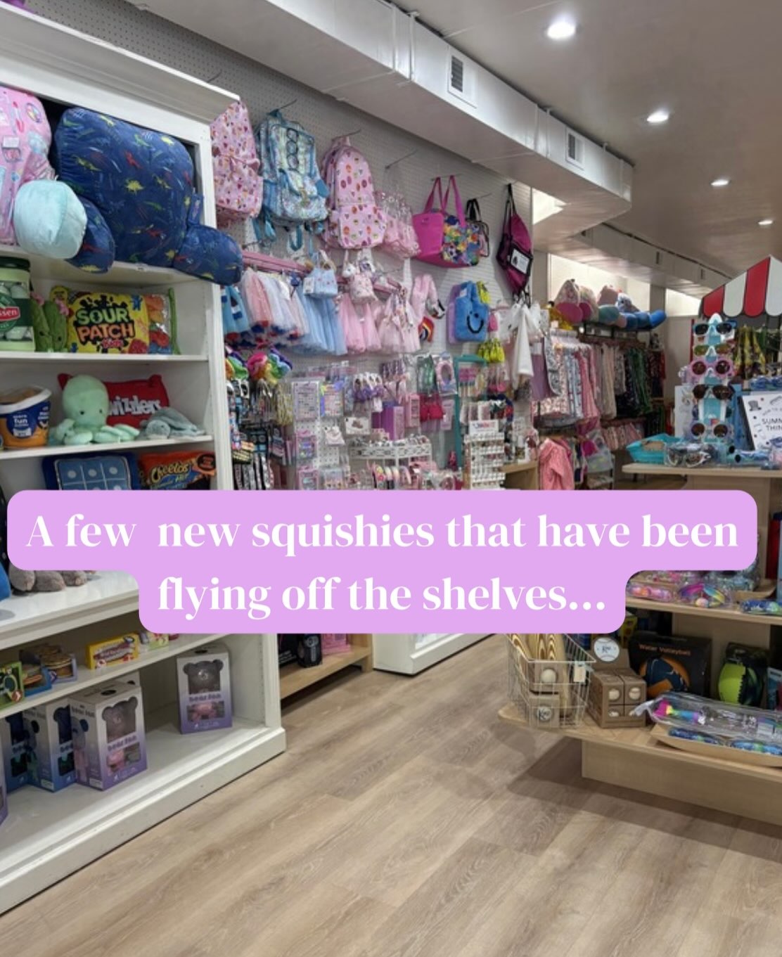 Come shop our newest squishies today before they fly off the shelves‼️
